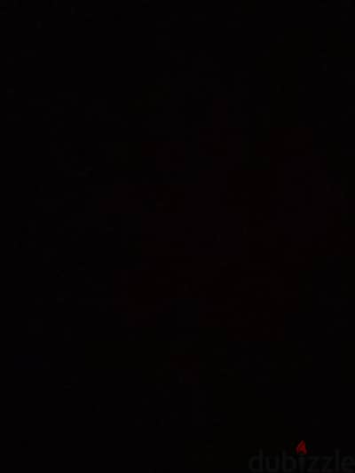 محتاج دكر جيرمن تحت السنه يكون سعرو حنين