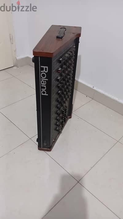 Roland PA-250 Stereo Mixing Amplifier