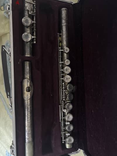 فلوت سوزوكي (flute)