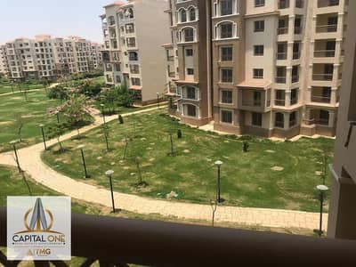 A special rental opportunity in my city – B2