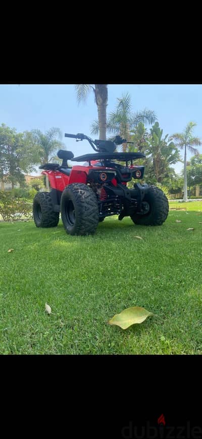 Beach buggy