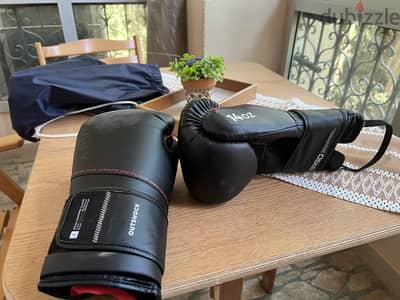 Boxing gloves
