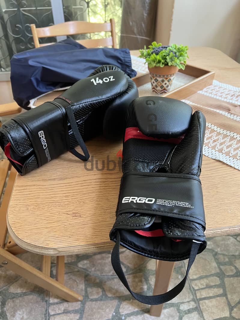 Boxing gloves 1