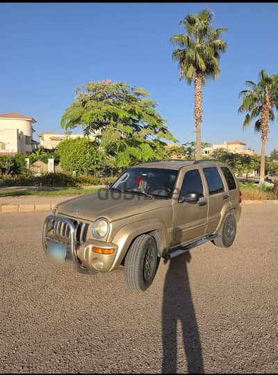 جيب ليبرتى 2002