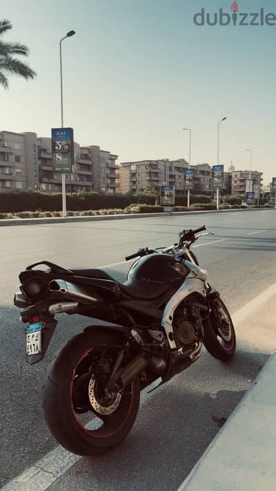 Suzuki baby king