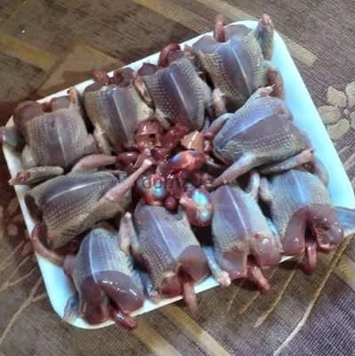 يمام بري