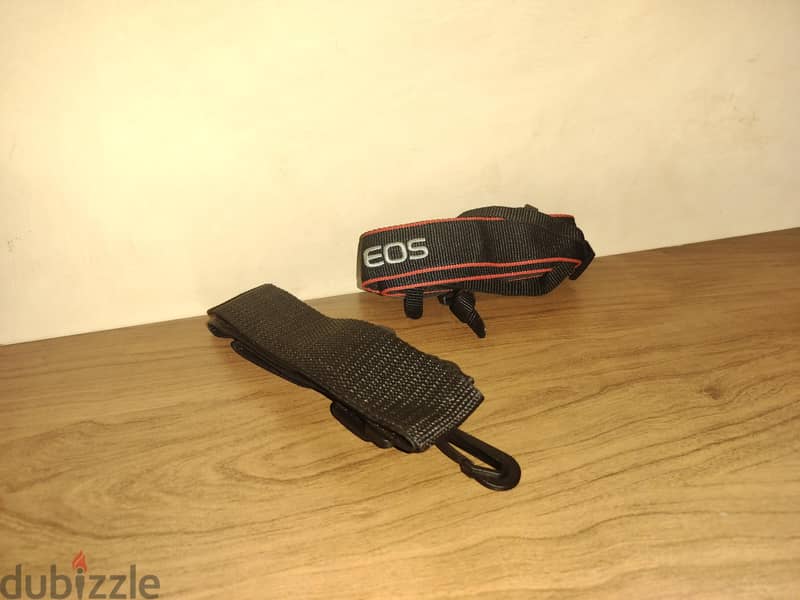 Canon EOS 250d Shutter count 4800 3
