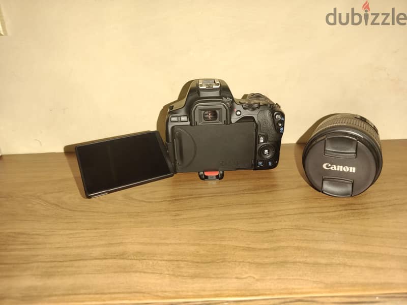 Canon EOS 250d Shutter count 4800 5
