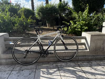 Giant tcr shimano ultgra and shimano 105