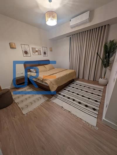 Best price Furnished apartment in Villette Sodic