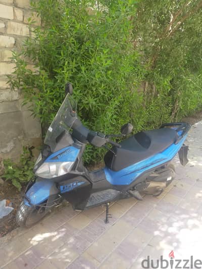 كافنيرو سبورت
