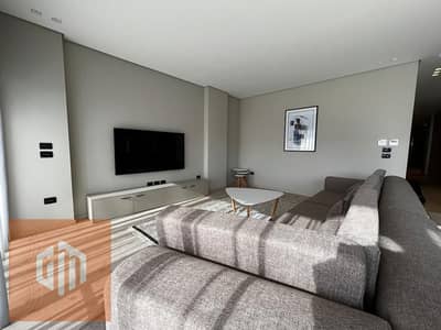 Apartment fully furnished for rent in lake view