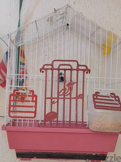 استعمال اسبوع