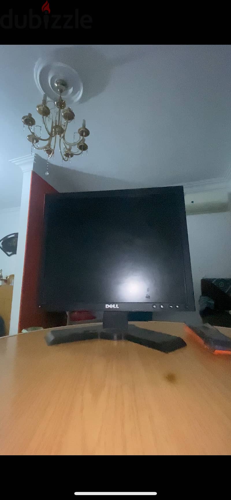 Dell Professional P170S 1