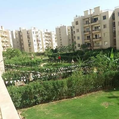 شقه للايجار بالفرش دور اول في عمارات المستقبل _ الشيخ زايد