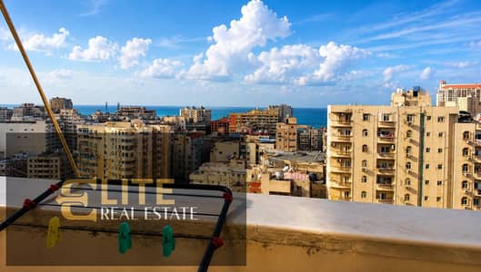 زيزينيا شارع ابراهيم العطار