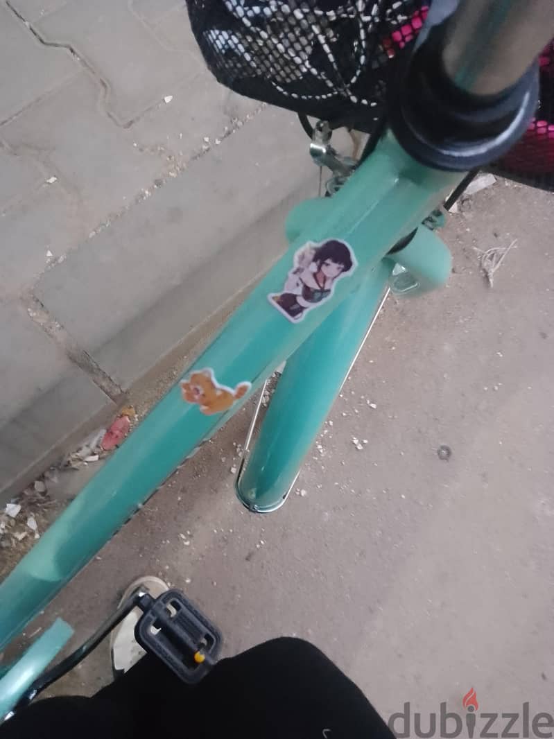 kitty bicycle 1