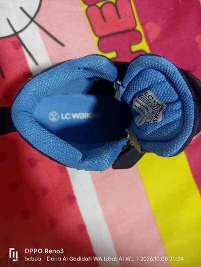 كوتشى مقاس 22 lc
