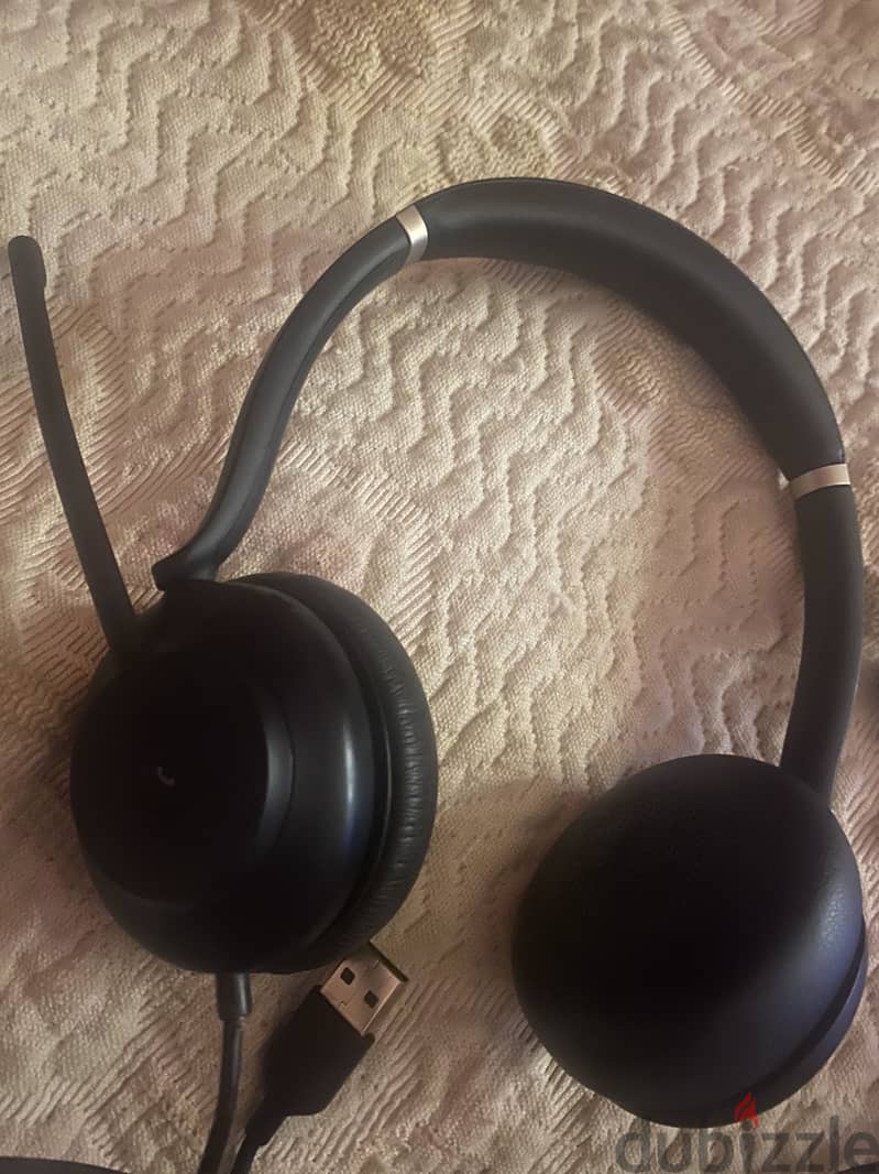 Headset 1