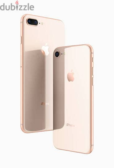 مطلوب بورده ايفون 8plus