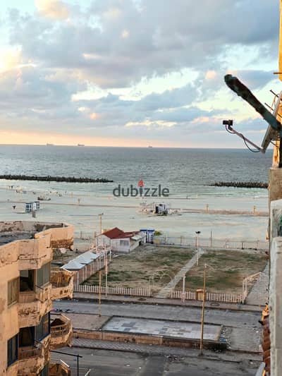 شقه تاني عماره في العجمي شاطئ النخيل  بالفرش الاجهزه الحديثه تشطيب التـــــــــــرا لوكس