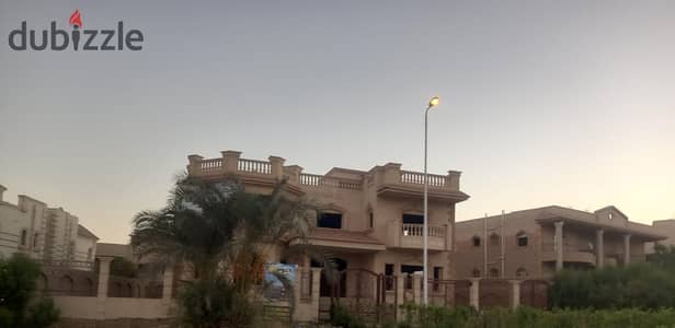 شقة بيزمنت بجاردن خاص للبيع من الشركة المالكة فى الحى التاسع الشيخ زايد