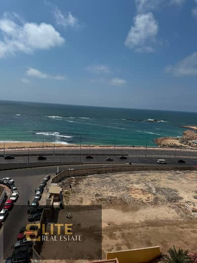 Mohamed Naguib City