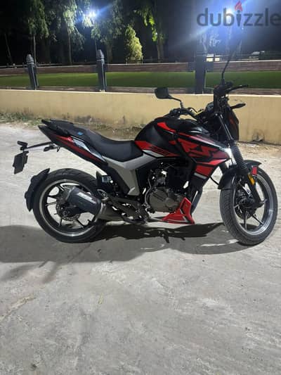 هوجن z250