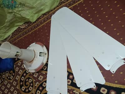 مروحه سقف تورنيدو كالجديده