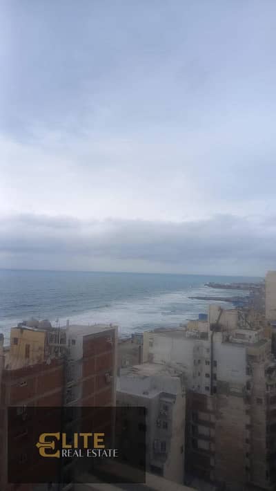 سبورتنج تاني نمره من البحر  شارع اللخمي مدرسه سان جبرائيل