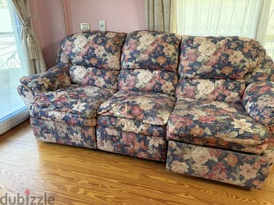 Modern american sofa