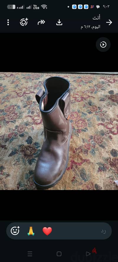 Safety Shoes