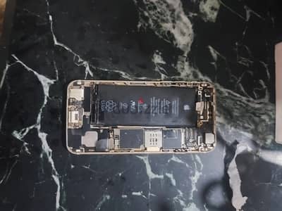 Apple - iPhone 6