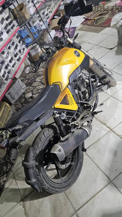 hogan v250 max