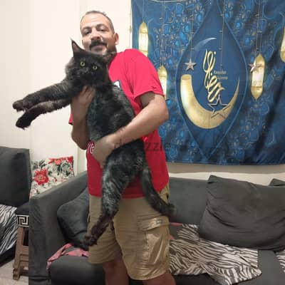 مطلوب ذكر ماين كون