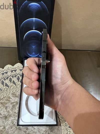 12 pro max
