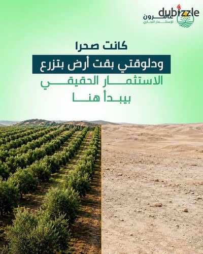 5-Feddan Land in Siwa | Only 6 Plots Left in Phase 2 | Long-Term Investment & Inflation Protection
