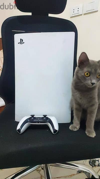Ps5.  بحاله الزيرو