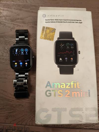 gts 2 mini