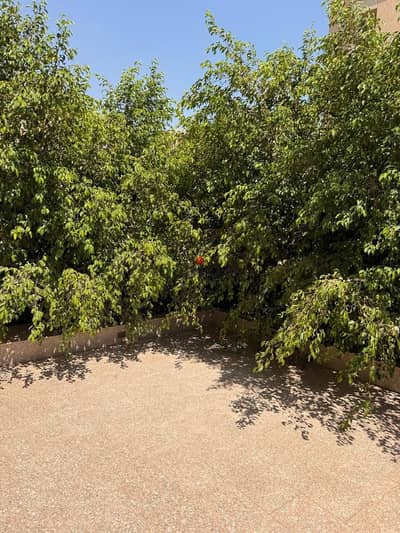 A masterpiece ground floor apartment with garden for sale in Madinaty at B11 next to All seasons park mall A masterpiece ground floor apartment with garden for sale in Madinaty at B11 next to All seasons park mall