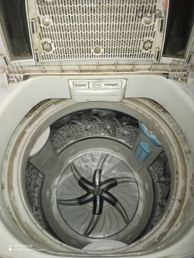الجيزة