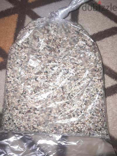 خلطة بذور الطاقه لطيور البادجي
