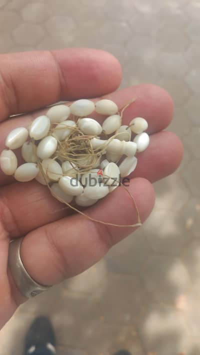 سبحة طبعية