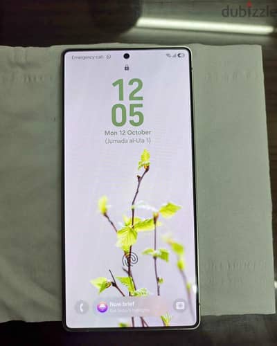 Samsung S25 Ultra