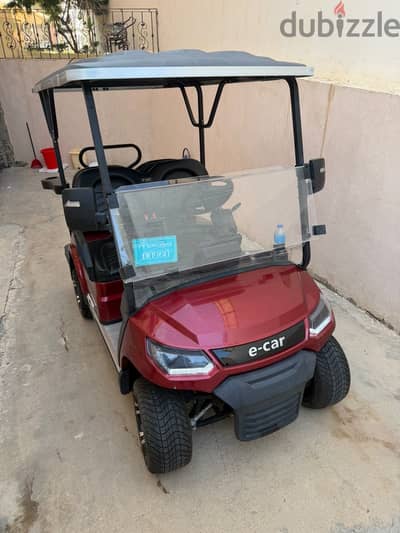 E car matgr mint condition 1300 kmkm