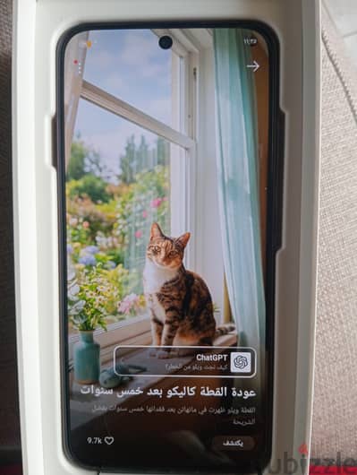 اوبو رينو 16 F
