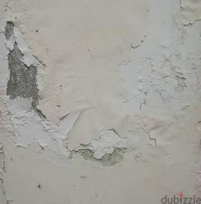مشكلة الرطوبة