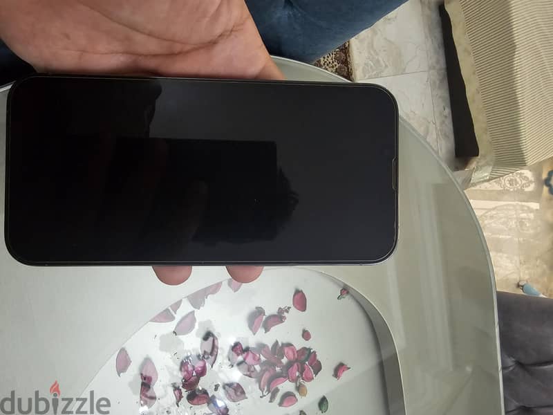 Apple - iPhone 13 Pro Max 8