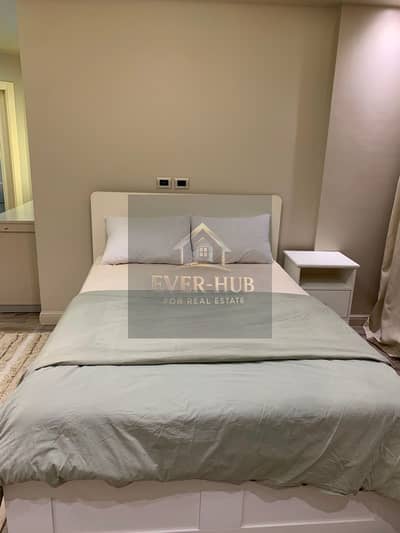 Luxury Fully Furnished Apartment for Rent in Zayed Regency Compound, Sheikh Zayed