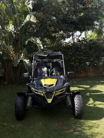 Buggy